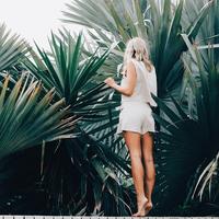 Отзыв от Аврора - DTV виза